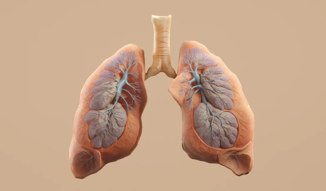 Lung Cancer