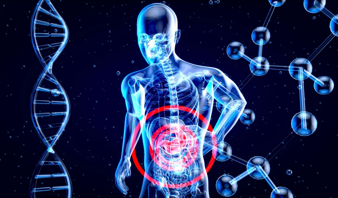 Gut Health