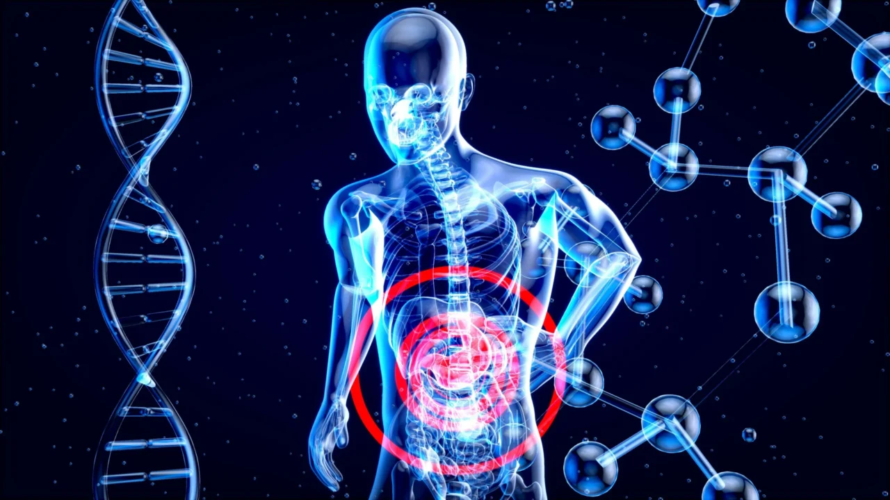 Gut Health